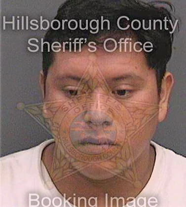 Vargas Juan - Hillsborough County, FL 