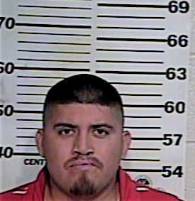 Armijo Yasmane - Hidalgo County, TX 