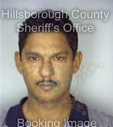 Delacruz Eligio - Hillsborough County, FL 