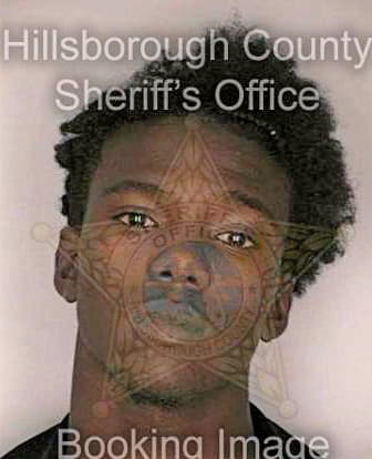 Thompson Ezzard - Hillsborough County, FL 