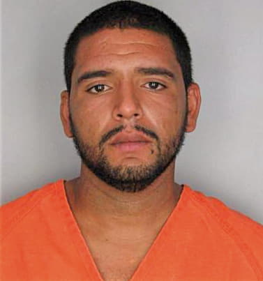 Gonzalez Fernando - Hillsborough County, FL 