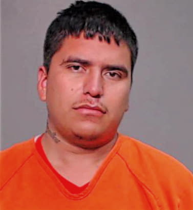 Hernandez Luis - Hidalgo County, TX 