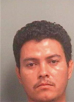 Hernandez Dagoberto - PalmBeach County, FL 