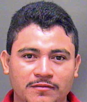 Mejia-Lopez Jose - Mecklenburg County, NC 