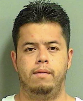 Hernandez Juan - PalmBeach County, FL 