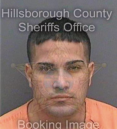 Parejalago Ronald - Hillsborough County, FL 