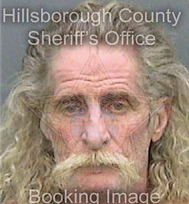 Strong Timothy - Hillsborough County, FL 