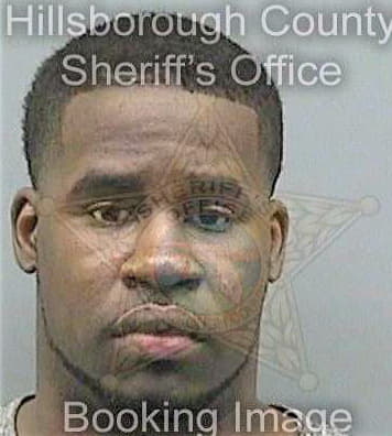 Blackmon Ainsley - Hillsborough County, FL 