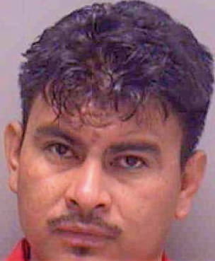 Tinoco Jose - Lee County, FL 