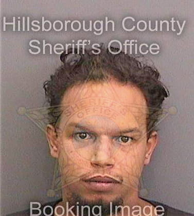 Dennison Michael - Hillsborough County, FL 