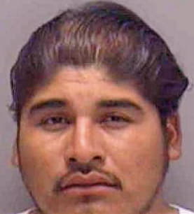 Rojas Jose - Lee County, FL 