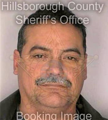 Maldonado Erving - Hillsborough County, FL 