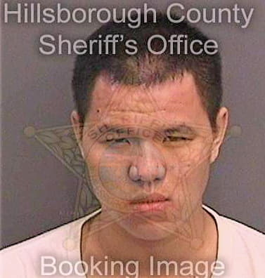 Tran Tong - Hillsborough County, FL 