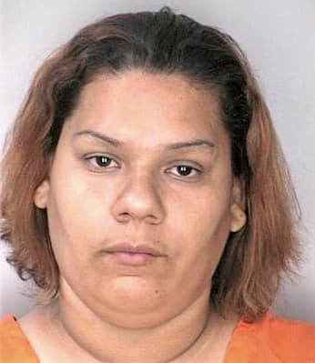 Nunez Carmen - Hillsborough County, FL 