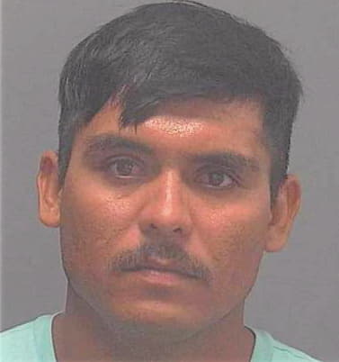 Hernandez Rigoberto - Lee County, FL 