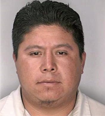 Lazaro Artemio - Hillsborough County, FL 