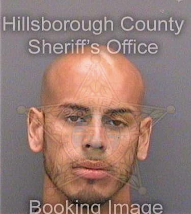 Rivera Francisco - Hillsborough County, FL 