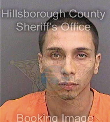 Dejesus Michael - Hillsborough County, FL 