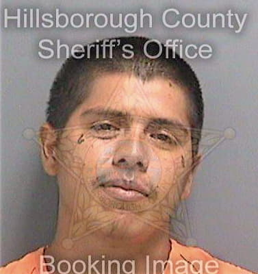 Lopez Leonard - Hillsborough County, FL 