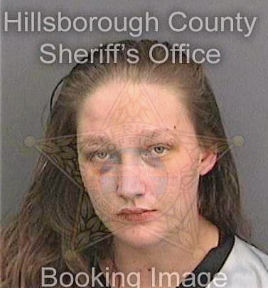 Dennison Ashlee - Hillsborough County, FL 