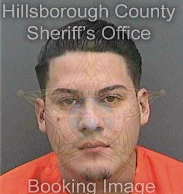 Sibrian Jonny - Hillsborough County, FL 