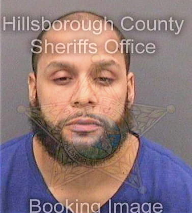 Maldonado Raymond - Hillsborough County, FL 