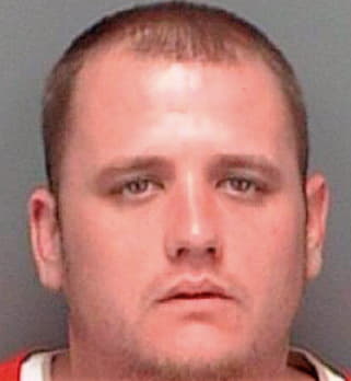 Dennis David - Pinellas County, FL 