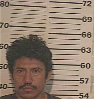 Hernandez Jose - Hidalgo County, TX 