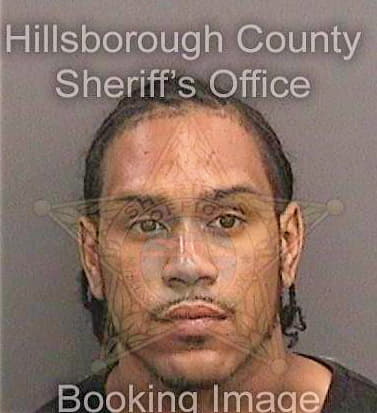 Espinosafeliz Melvin - Hillsborough County, FL 