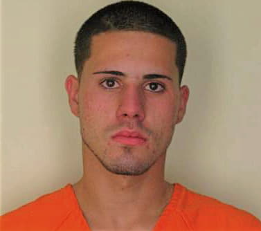 Martingonzalez Lester - Hillsborough County, FL 