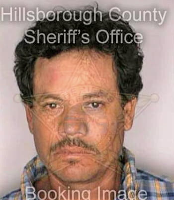 Trejo Joel - Hillsborough County, FL 