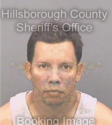 Diaz Jose - Hillsborough County, FL 