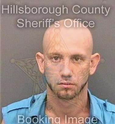 Martin Nicholas - Hillsborough County, FL 