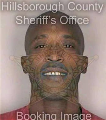 Mcgill Robert - Hillsborough County, FL 