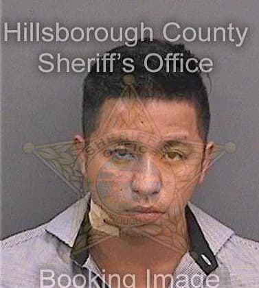 Delacruzchavez Alfonso - Hillsborough County, FL 