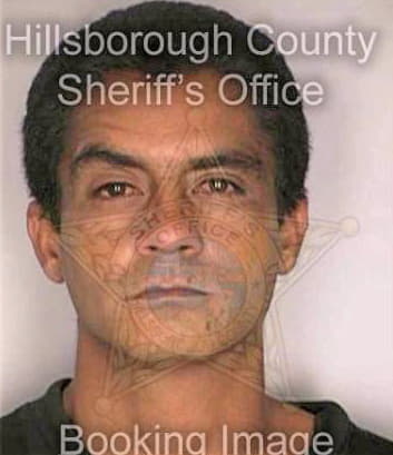 Santiago Edwin - Hillsborough County, FL 