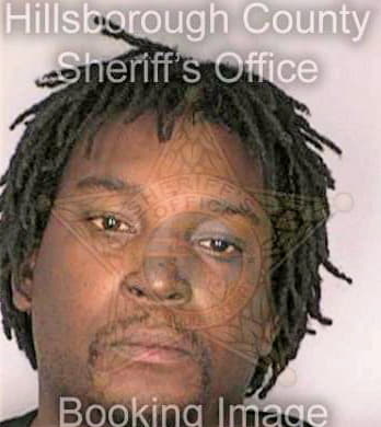 Haynes Carl - Hillsborough County, FL 