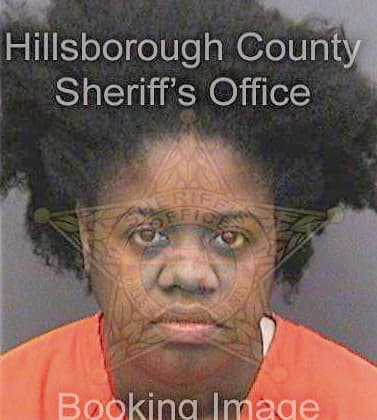 Charles Nadege - Hillsborough County, FL 