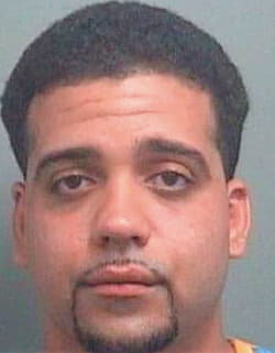 Melendez Dorian - PalmBeach County, FL 