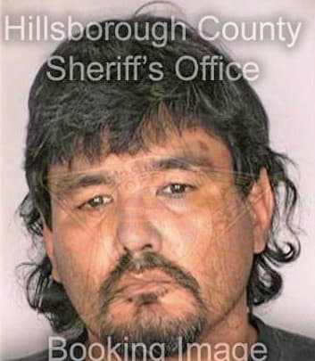 Vargas Joseph - Hillsborough County, FL 