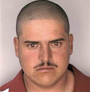 Cortezguillen Juan - Hillsborough County, FL 
