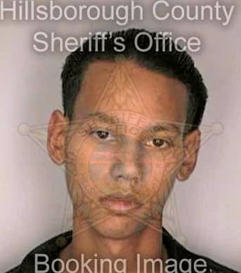 Bremner Peter - Hillsborough County, FL 