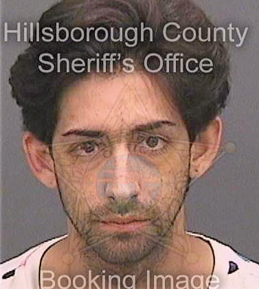 Alvarez Benjamin - Hillsborough County, FL 