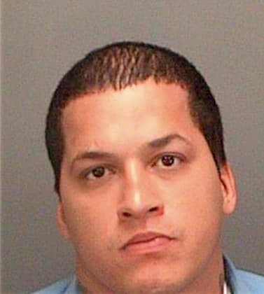 Nieves Daony - Pinellas County, FL 