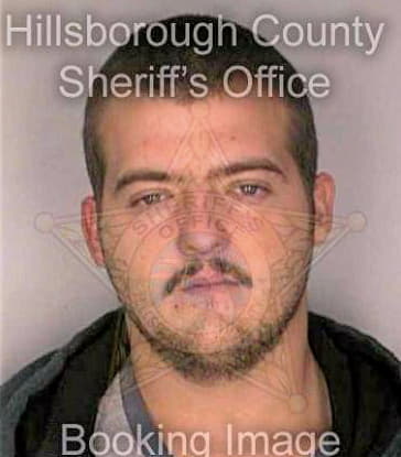 Tice Jason - Hillsborough County, FL 