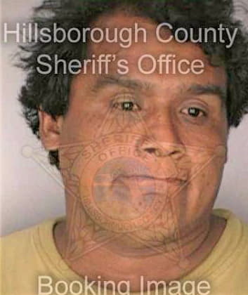 Lopez Manuel - Hillsborough County, FL 