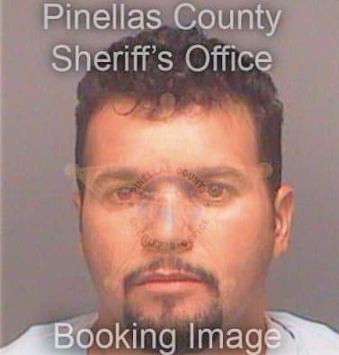 Revol Roberto - Pinellas County, FL 