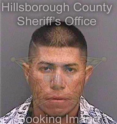 Alarcongatica Eduardo - Hillsborough County, FL 
