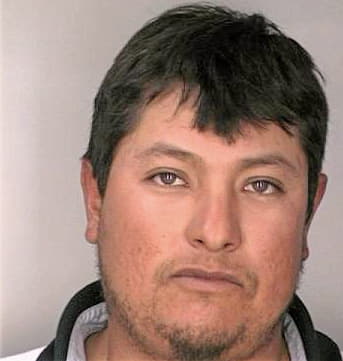 Ochoa Gustavo - Hillsborough County, FL 