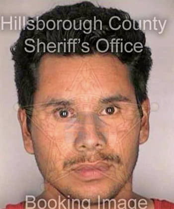 Bello Salvador - Hillsborough County, FL 